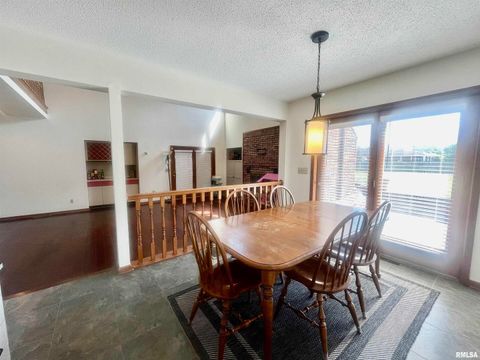 Tiny photo for 9 BRIAN Drive, Metropolis, IL 62960 (MLS # EB459254)