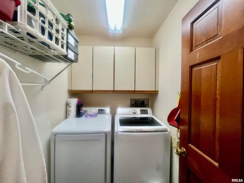 Tiny photo for 9 BRIAN Drive, Metropolis, IL 62960 (MLS # EB459254)