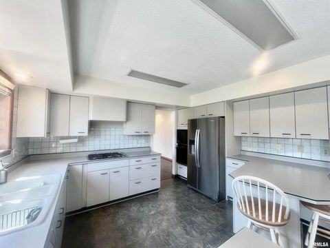 Tiny photo for 9 BRIAN Drive, Metropolis, IL 62960 (MLS # EB459254)