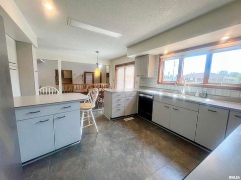 Tiny photo for 9 BRIAN Drive, Metropolis, IL 62960 (MLS # EB459254)