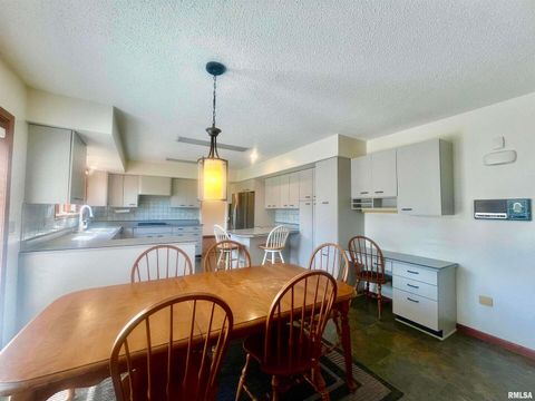 Tiny photo for 9 BRIAN Drive, Metropolis, IL 62960 (MLS # EB459254)