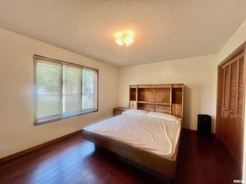 Tiny photo for 9 BRIAN Drive, Metropolis, IL 62960 (MLS # EB459254)