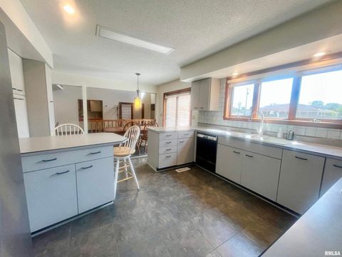 Tiny photo for 9 BRIAN Drive, Metropolis, IL 62960 (MLS # EB459254)