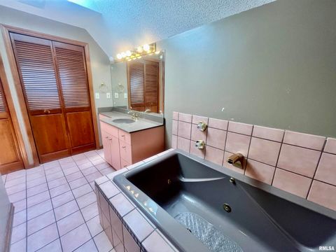 Tiny photo for 9 BRIAN Drive, Metropolis, IL 62960 (MLS # EB459254)