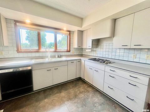 Tiny photo for 9 BRIAN Drive, Metropolis, IL 62960 (MLS # EB459254)