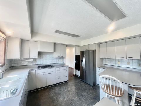 Tiny photo for 9 BRIAN Drive, Metropolis, IL 62960 (MLS # EB459254)