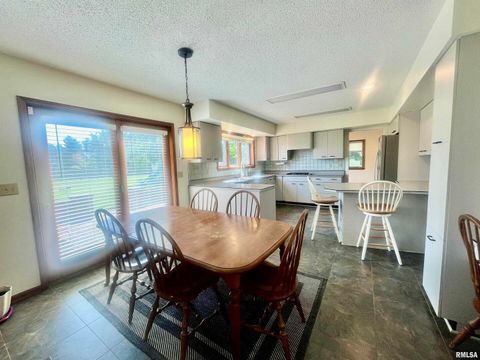 Tiny photo for 9 BRIAN Drive, Metropolis, IL 62960 (MLS # EB459254)