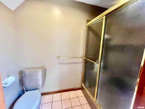 Tiny photo for 9 BRIAN Drive, Metropolis, IL 62960 (MLS # EB459254)