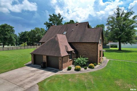 Tiny photo for 9 BRIAN Drive, Metropolis, IL 62960 (MLS # EB459254)