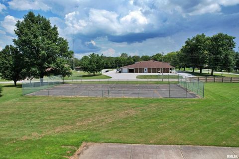 Tiny photo for 9 BRIAN Drive, Metropolis, IL 62960 (MLS # EB459254)