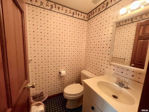 Tiny photo for 9 BRIAN Drive, Metropolis, IL 62960 (MLS # EB459254)