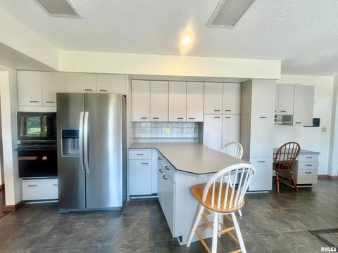 Tiny photo for 9 BRIAN Drive, Metropolis, IL 62960 (MLS # EB459254)