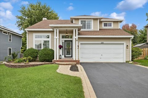 Photo of 206 Cool Stone Bend, Lake In The Hills, IL 60156 (MLS # 12483788)