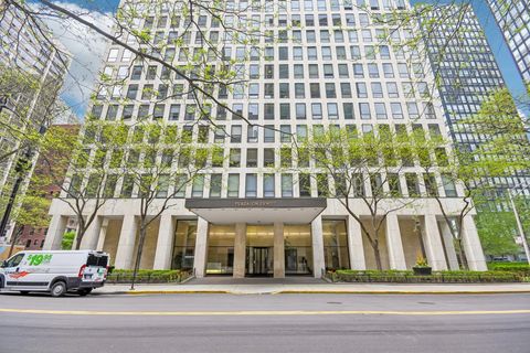 260 E CHESTNUT Street 2505 Chicago IL 60611