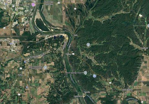 Tiny photo for 25065 Rock Springs Hollow Road, Thebes, IL 62990 (MLS # 12546861)