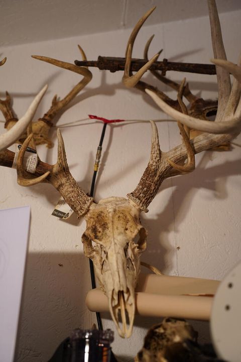 Tiny photo for 25065 Rock Springs Hollow Road, Thebes, IL 62990 (MLS # 12546861)