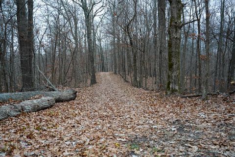 Tiny photo for 25065 Rock Springs Hollow Road, Thebes, IL 62990 (MLS # 12546861)