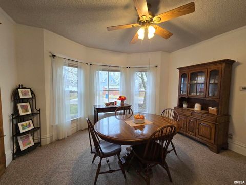 Tiny photo for 502 Albers Street, Golden, IL 62339 (MLS # QC4269649)