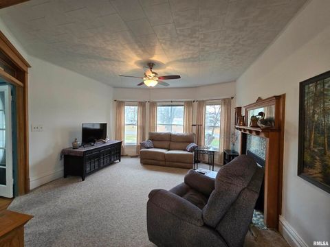 Tiny photo for 502 Albers Street, Golden, IL 62339 (MLS # QC4269649)