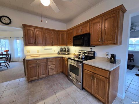 Tiny photo for 502 Albers Street, Golden, IL 62339 (MLS # QC4269649)