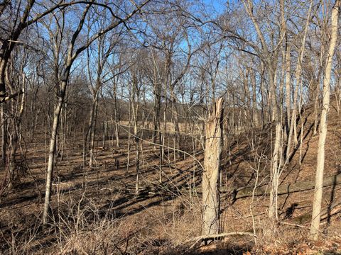 1784 Tanglewood Drive Varna IL 61375