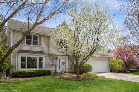 315 Thistle Lane Lake Zurich IL 60047