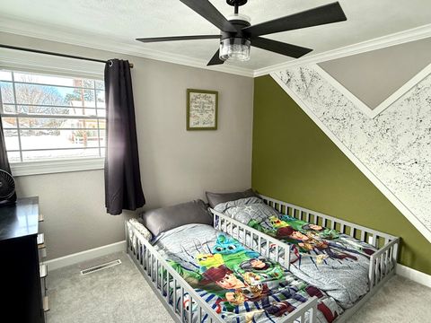 Tiny photo for 804 S Victor Street, Christopher, IL 62822 (MLS # 12558537)