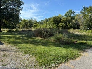 103 DAVIS, COLP, IL 62921 - Image 5f8e2d93fa3428ac97e57a8fd4e97e9a/4142286395