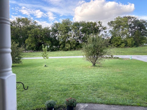 Tiny photo for 530 E Meuser Drive, Paxton, IL 60957 (MLS # 12743321)