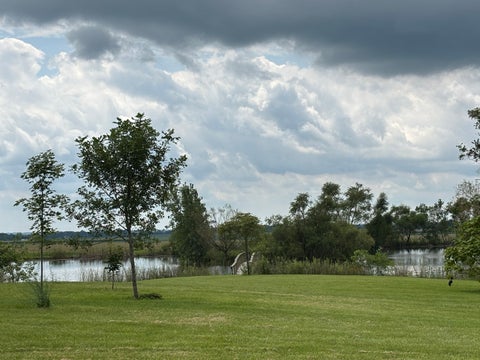 Tiny photo for 530 E Meuser Drive, Paxton, IL 60957 (MLS # 12743321)