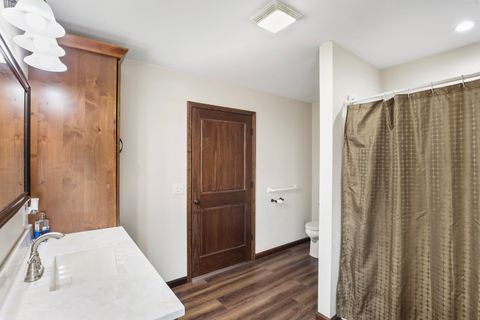 Tiny photo for 204 S Henry Street, Ashkum, IL 60911 (MLS # 12582149)