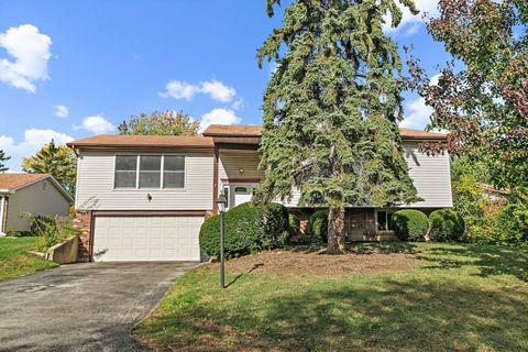 530 Ramblewood Court Lake Zurich IL 60047