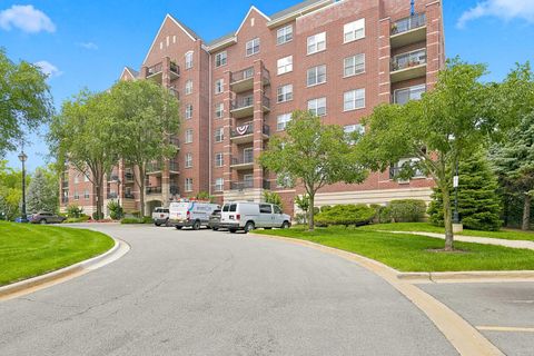 Photo of 440 W Mahogany Court #603, Palatine, IL 60067 (MLS # 12685552)