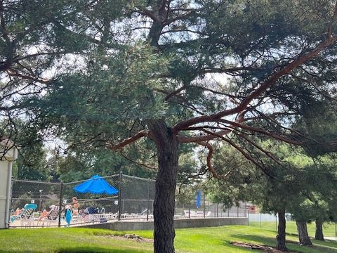 Tiny photo for 1505 E Central Road #303A, Arlington Heights, IL 60005 (MLS # 12504636)