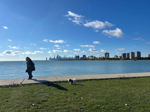 Tiny photo for 832 W Gunnison Street #3N, Chicago, IL 60640 (MLS # 12496692)