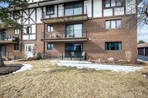 Tiny photo for 11015 S Theresa Circle #1C, Palos Hills, IL 60465 (MLS # 12555662)