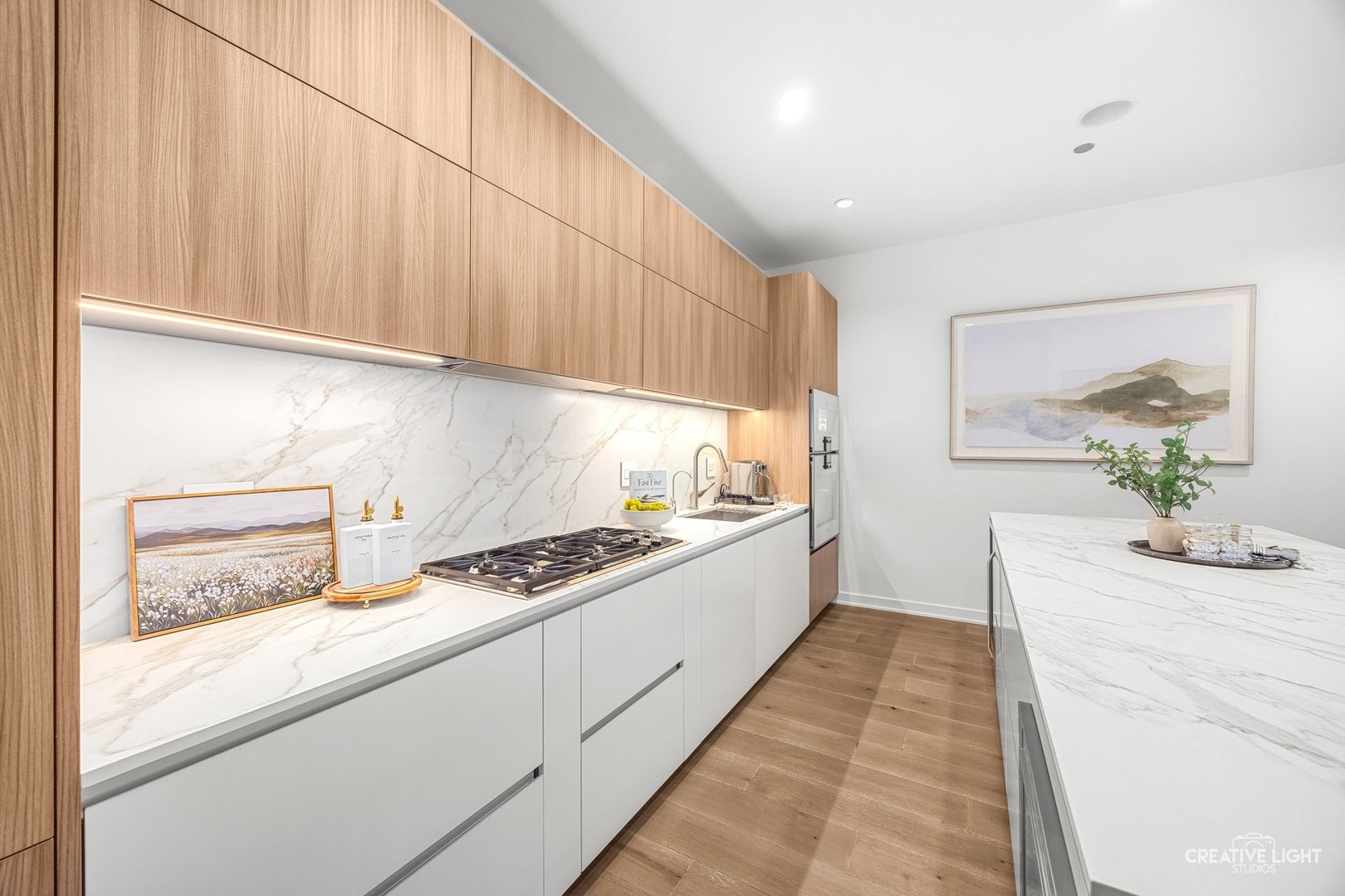 204 N Park Dr, Chicago, IL, 60601, USA, 3 Bedrooms Bedrooms, ,4 BathroomsBathrooms,Condo,Contingent,204 N Park Dr,12642152