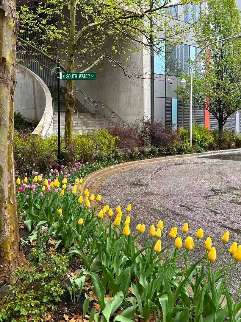 204 N Park Dr, Chicago, IL, 60601, USA, 3 Bedrooms Bedrooms, ,4 BathroomsBathrooms,Condo,Contingent,204 N Park Dr,12642152