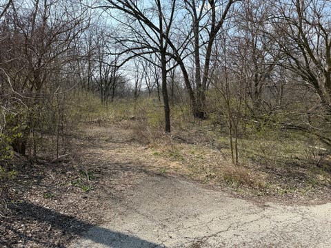 MLS: 12335178