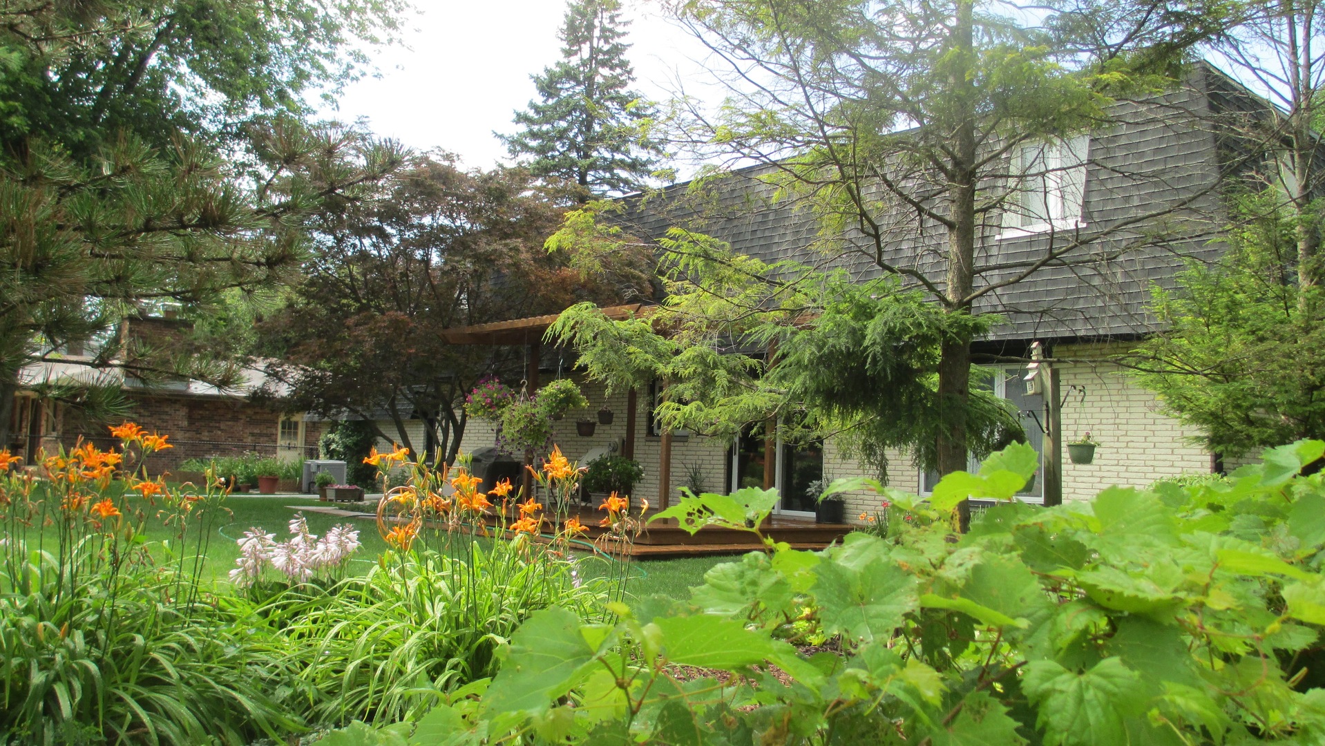 1811 E Maya Lane