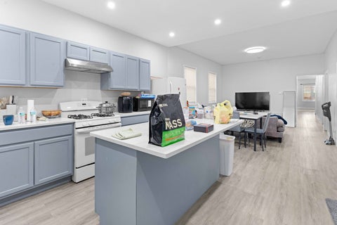 Tiny photo for 4607 S Wallace Street, Chicago, IL 60609 (MLS # 12755454)