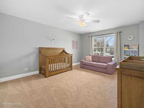 Tiny photo for 229 Grant Street, Downers Grove, IL 60515 (MLS # 12596423)