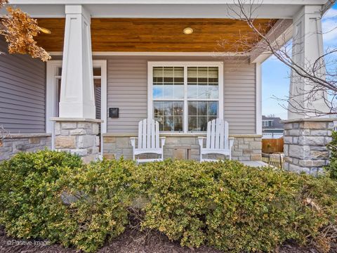 Tiny photo for 229 Grant Street, Downers Grove, IL 60515 (MLS # 12596423)