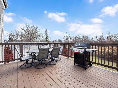 Tiny photo for 229 Grant Street, Downers Grove, IL 60515 (MLS # 12596423)