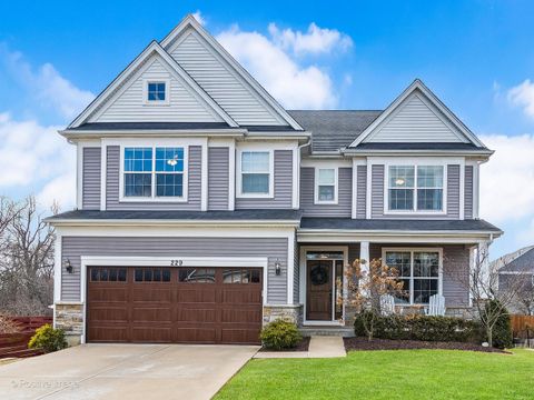 229 Grant Street Downers Grove IL 60515