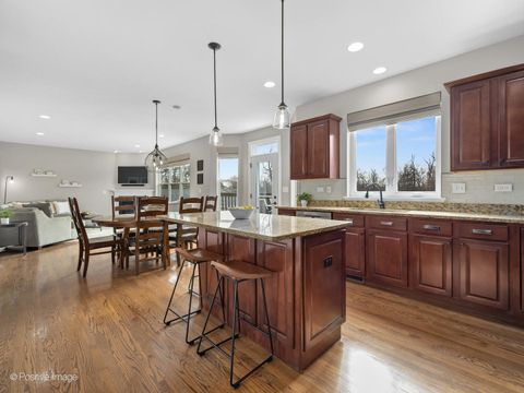 Tiny photo for 229 Grant Street, Downers Grove, IL 60515 (MLS # 12596423)