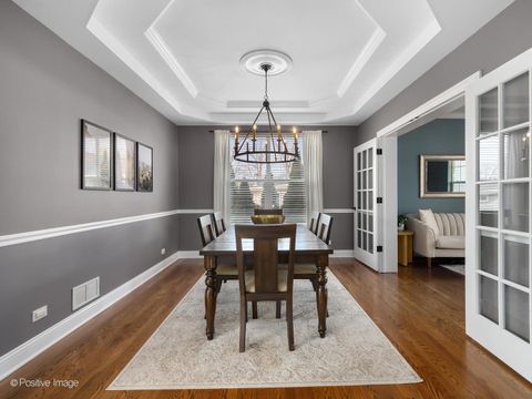 Tiny photo for 229 Grant Street, Downers Grove, IL 60515 (MLS # 12596423)