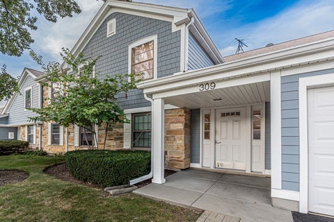 Photo of 309 Maplewood Court #D1, Schaumburg, IL 60193 (MLS # 12772870)