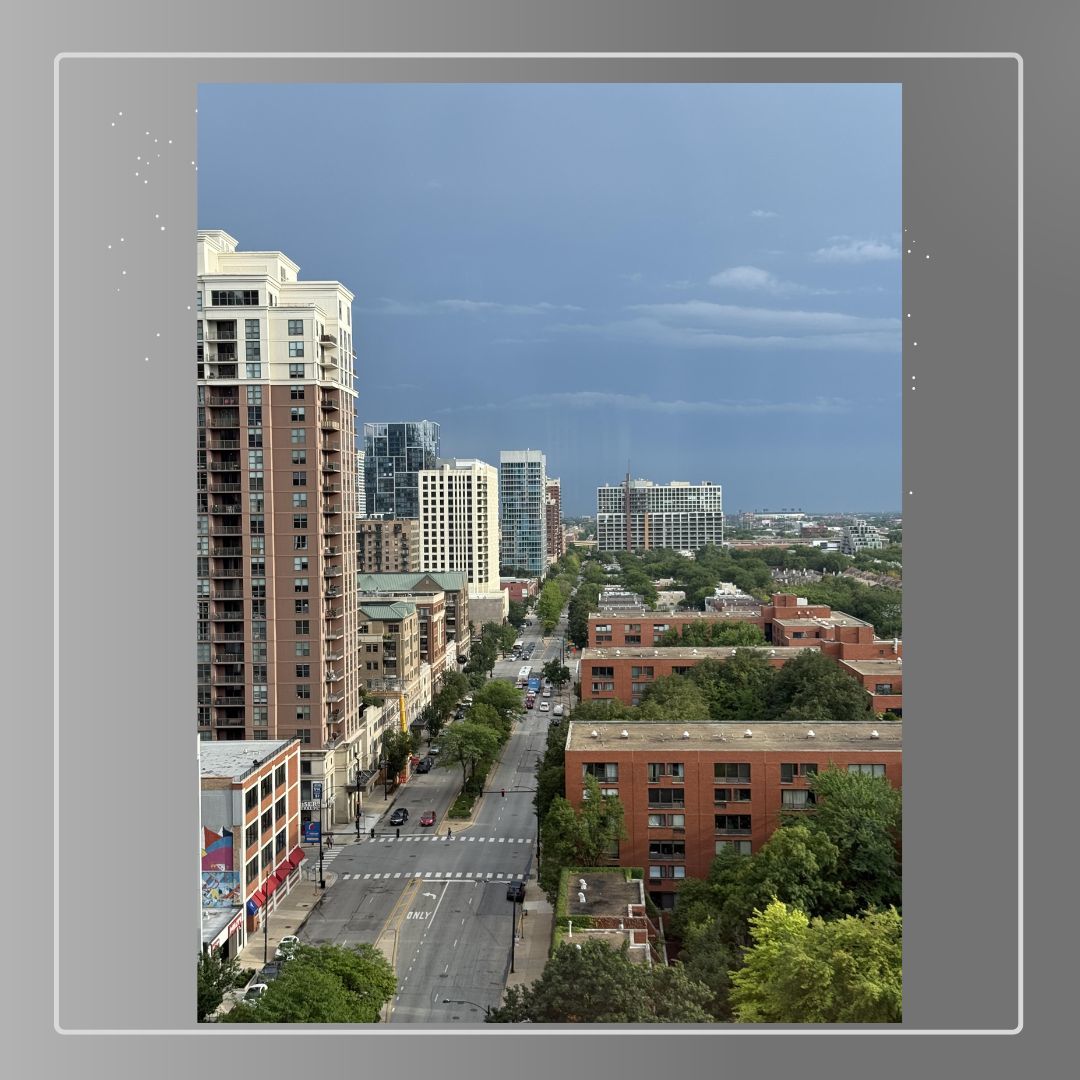 899 S PLYMOUTH Court 1408