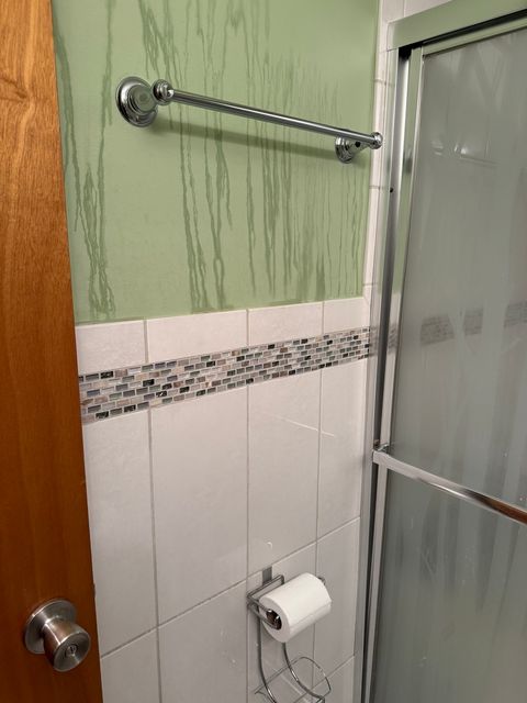 Tiny photo for Chicago, IL 60649 (MLS # 12513621)